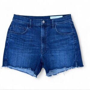 Rag & Bone Indigo Denim Shorts